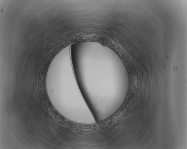 X0000086330914200703300927