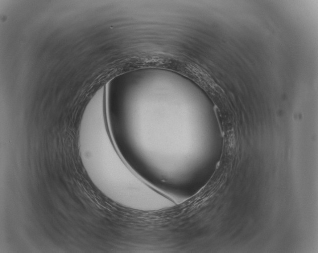 X0000086330916200703300927