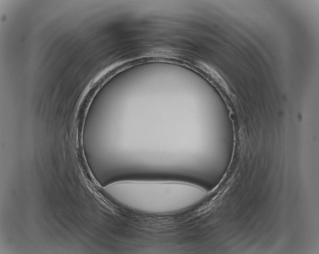 X0000086330931200703300927