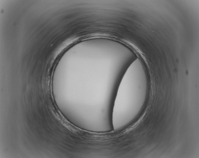X0000086330933200703300927