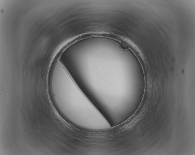 X0000086330935200703300927