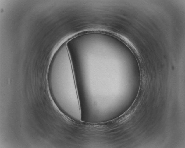 X0000086330943200703300927