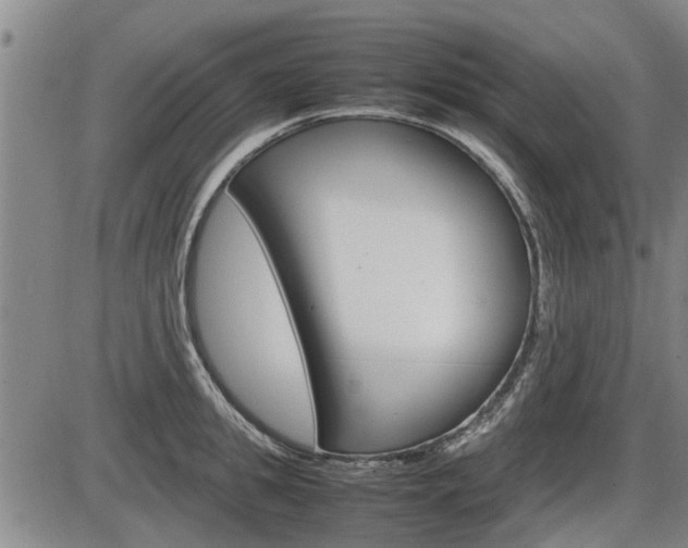 X0000086330949200703300927