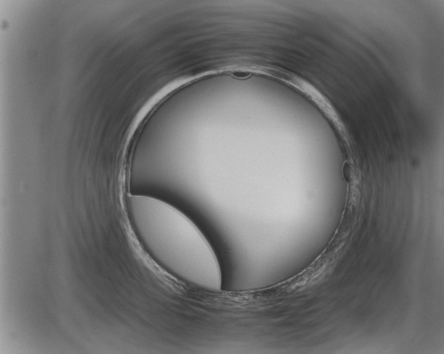 X0000086330955200703300927