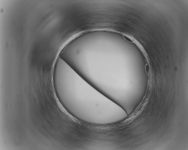 X0000086330957200703300927
