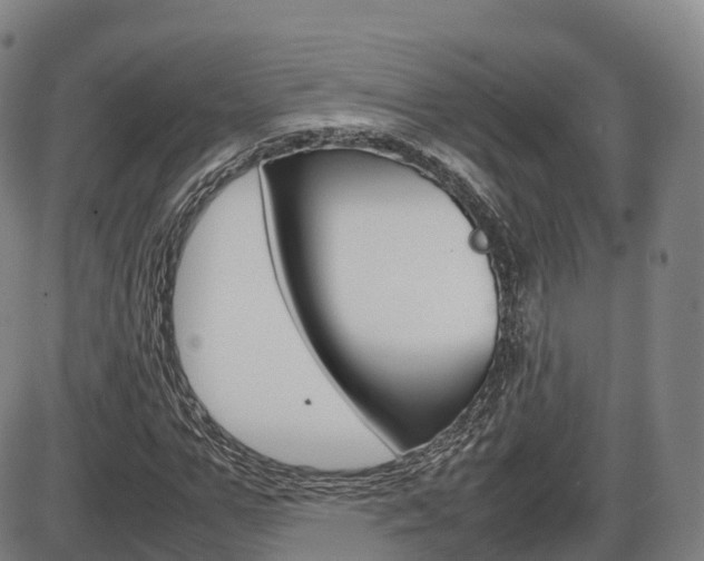 X0000086330967200703300927