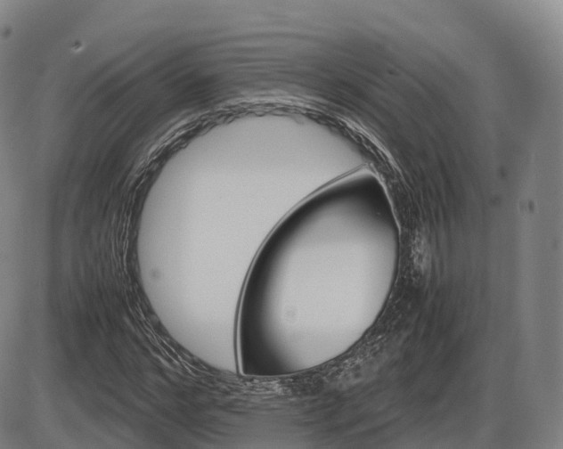 X0000086330968200703300927