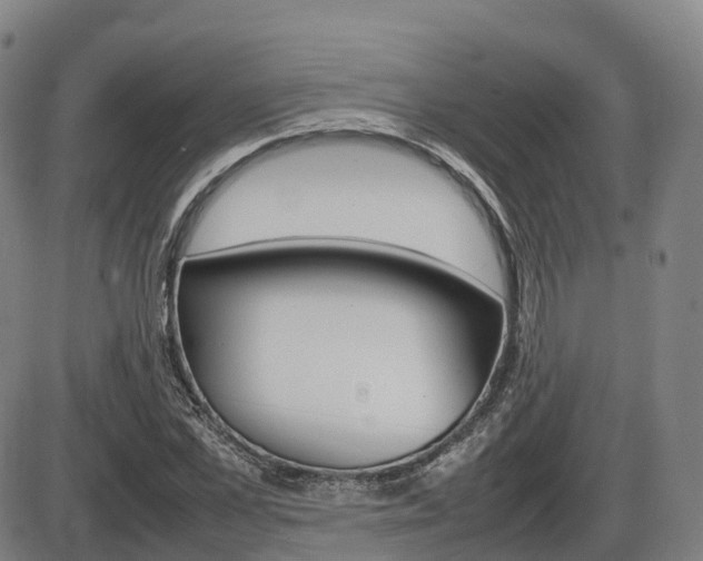 X0000086330973200703300926