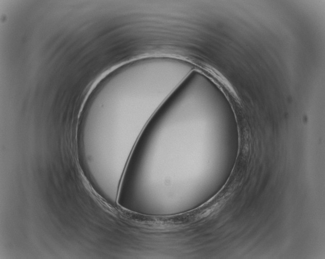 X0000086330980200703300926