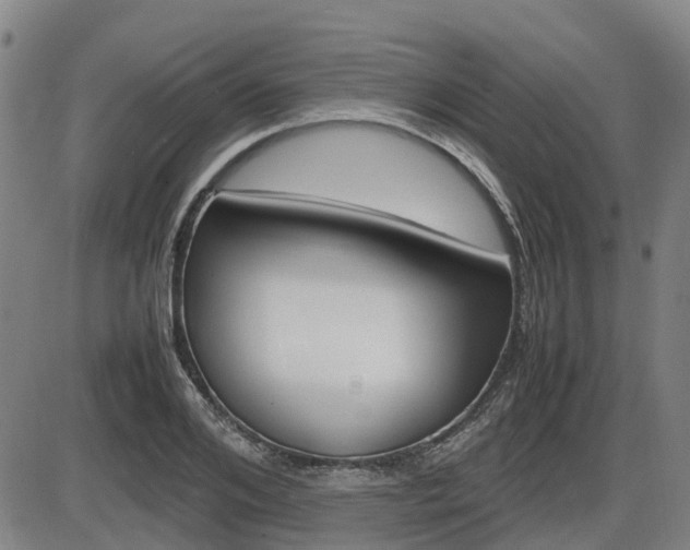 X0000086330984200703300926