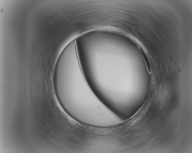 X0000086331007200703300926