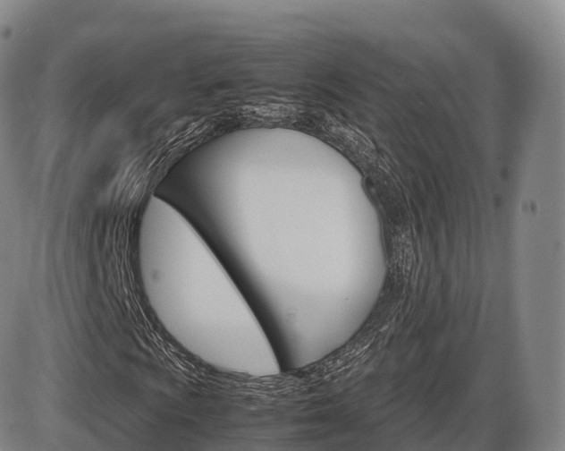 X0000086331009200703300925