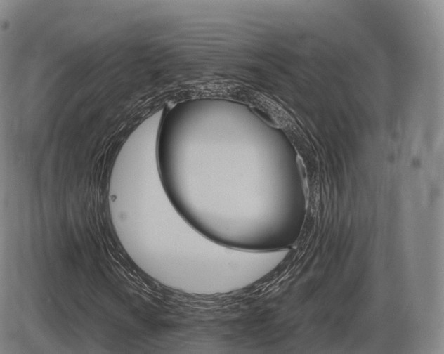 X0000086331010200703300925