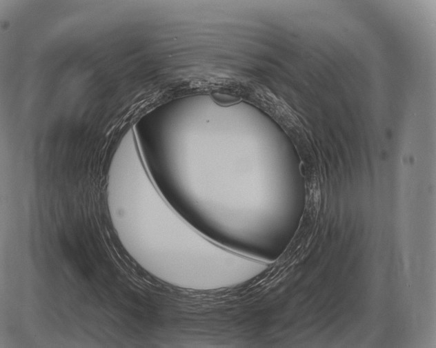 X0000086331012200703300925