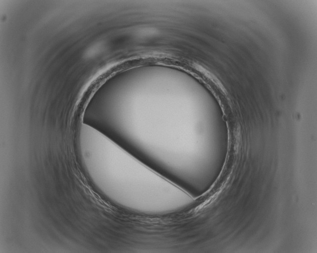 X0000086331021200703300925