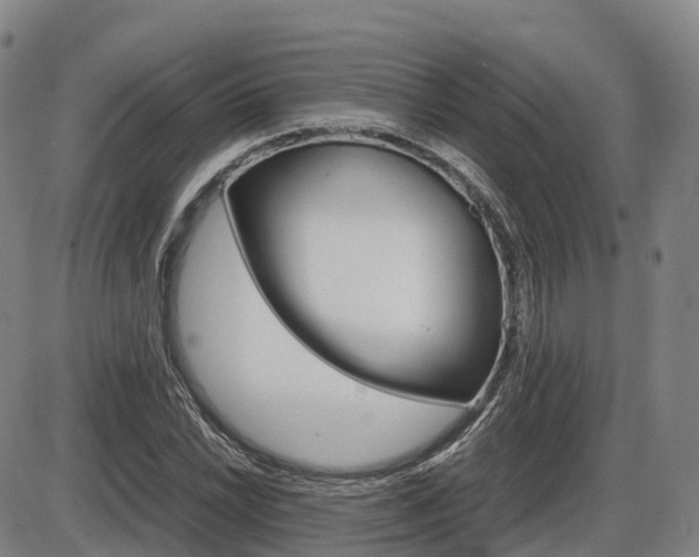 X0000086331022200703300925