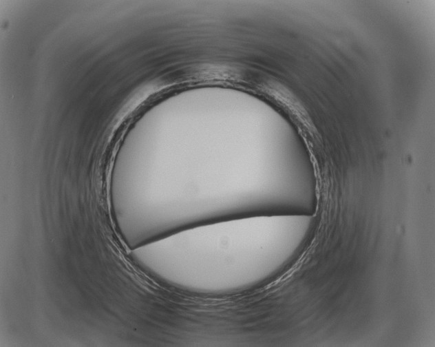 X0000086331023200703300925