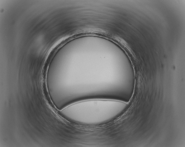 X0000086331024200703300925