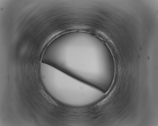 X0000086331025200703300925