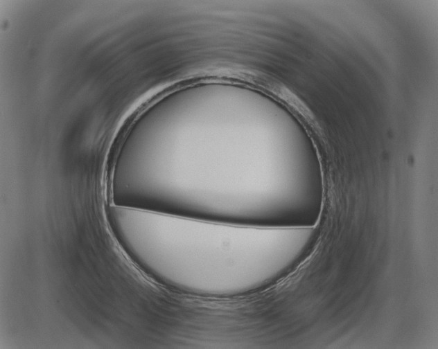 X0000086331028200703300925