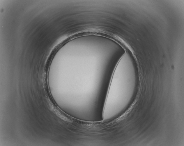 X0000086331029200703300925