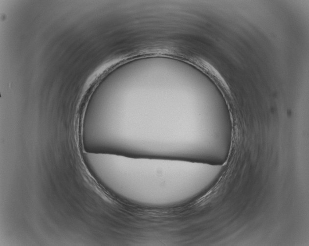 X0000086331035200703300925