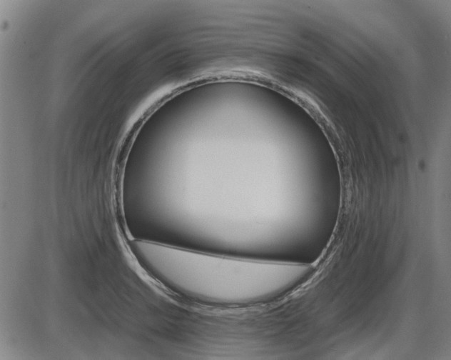 X0000086331038200703300926