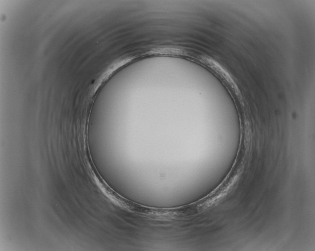 X0000086331041200703300926