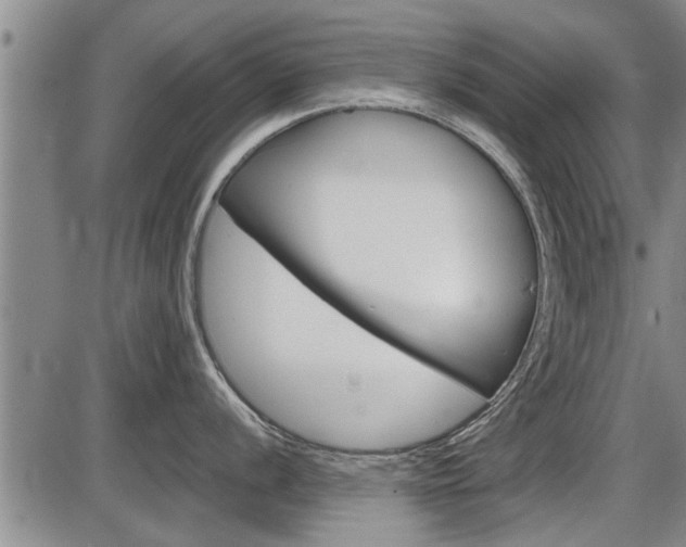 X0000086331056200703300926