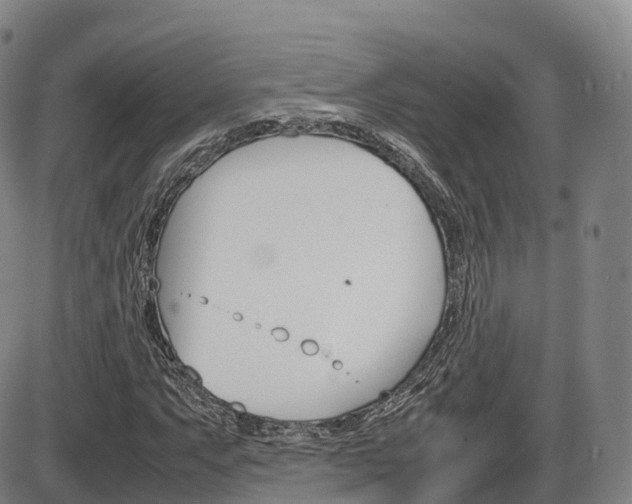 X0000086331063200703300925