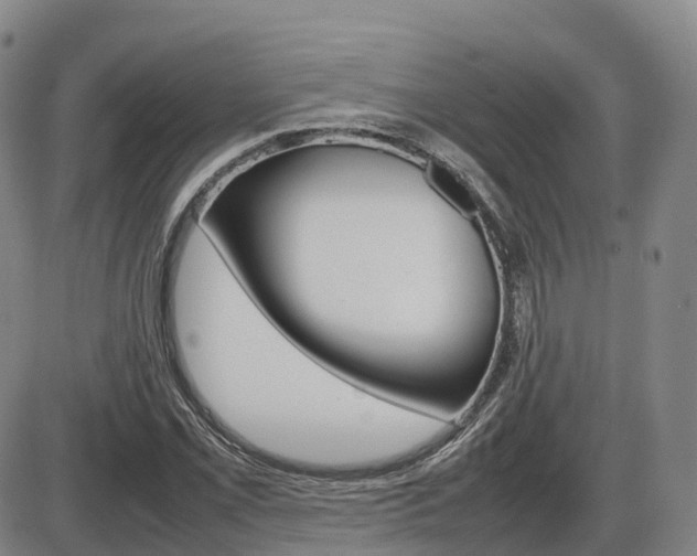 X0000086331069200703300925