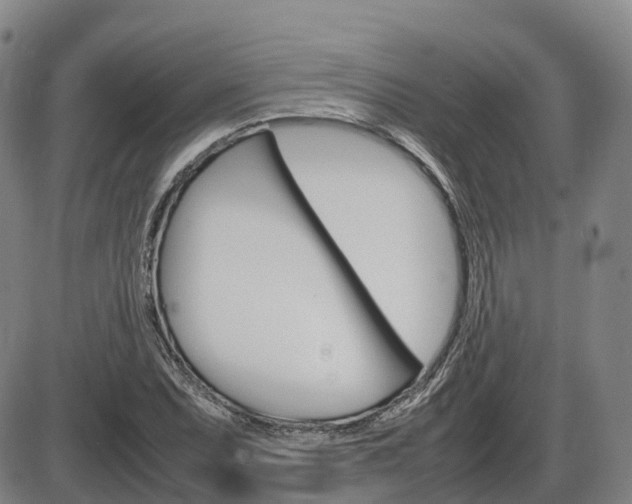 X0000086331071200703300925