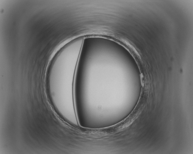 X0000086331077200703300925