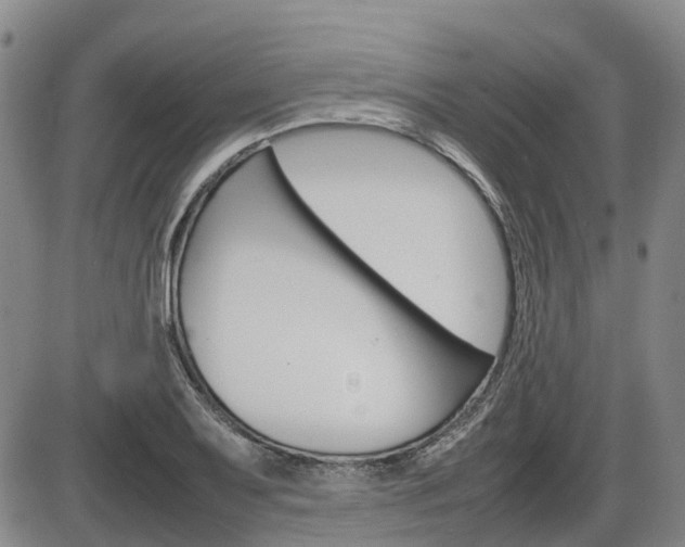 X0000086331079200703300925