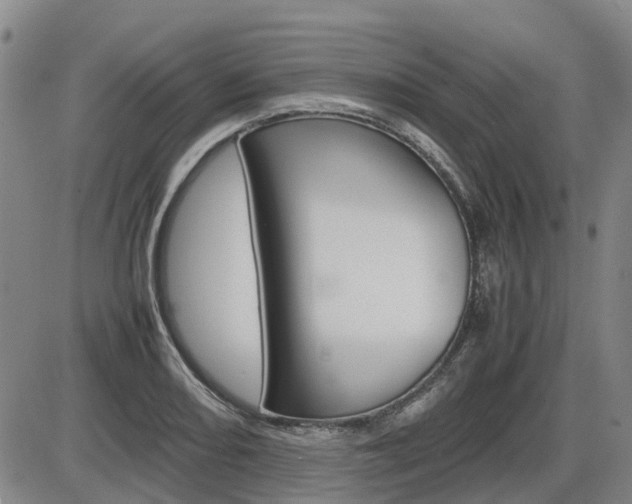 X0000086331082200703300925
