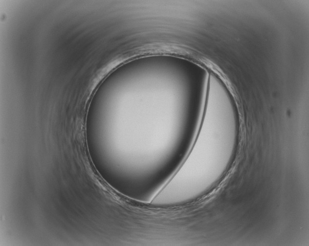 X0000086331089200703300924