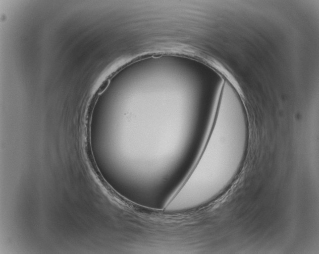X0000086331093200703300924