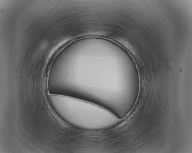 X0000086331119200703300924