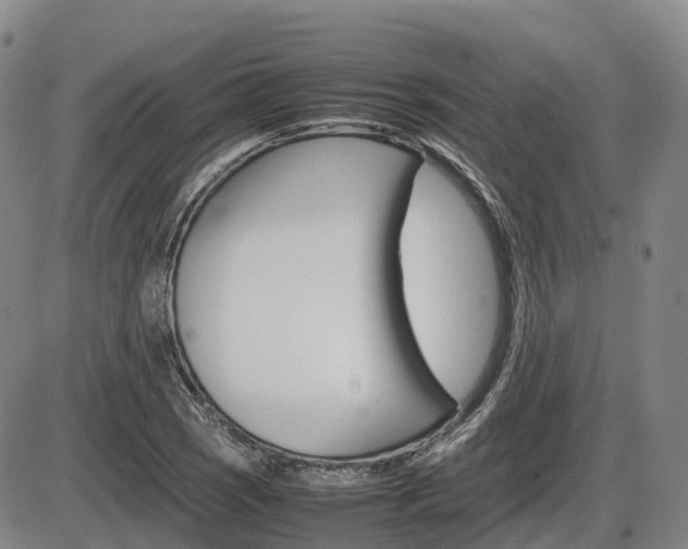 X0000086331121200703300924