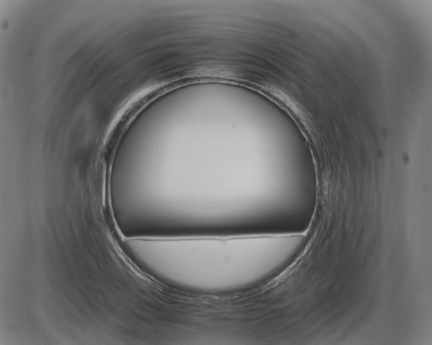 X0000086331123200703300924