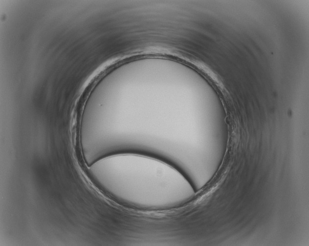 X0000086331126200703300924