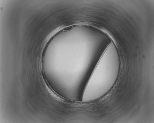 X0000086331143200703300924