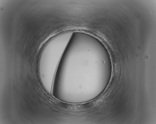 X0000086331165200703300923