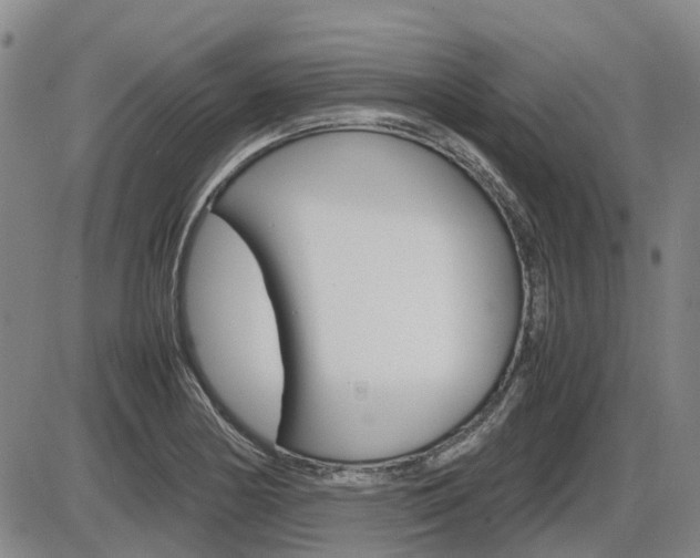 X0000086331178200703300923