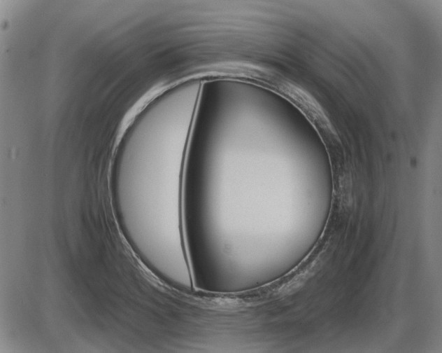 X0000086331180200703300923