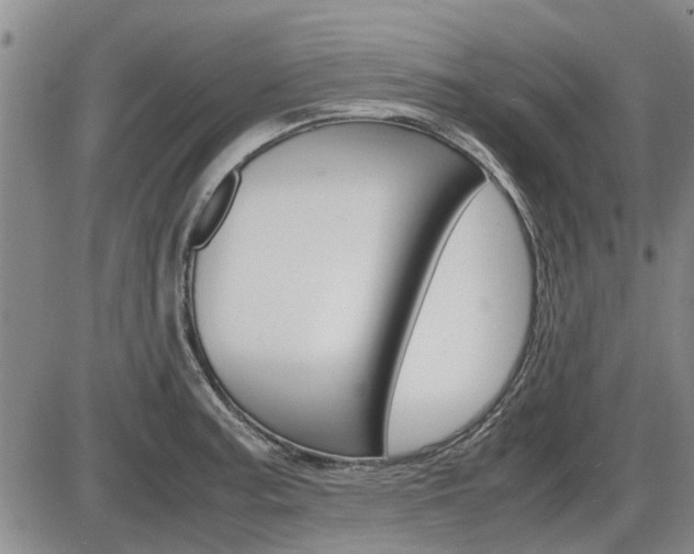 X0000086331187200703300923