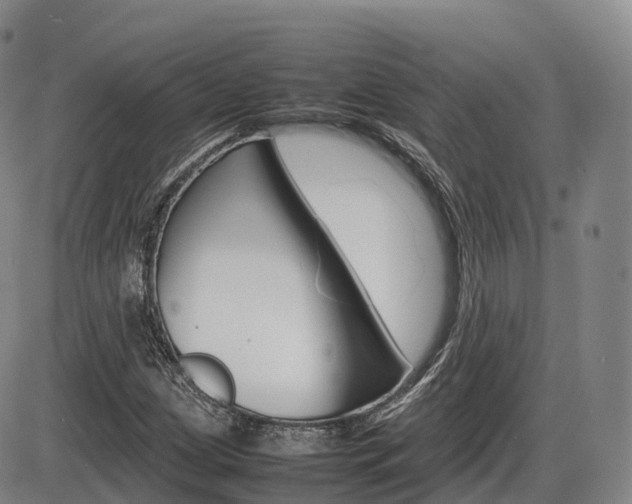 X0000086331209200703300922