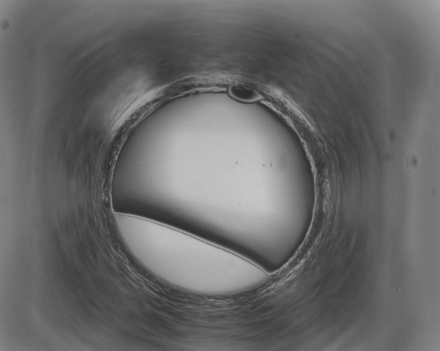 X0000086331213200703300922