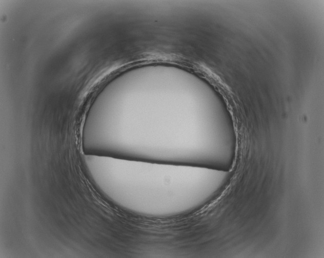 X0000086331215200703300922
