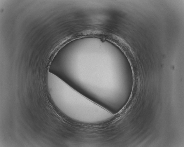 X0000086331217200703300922